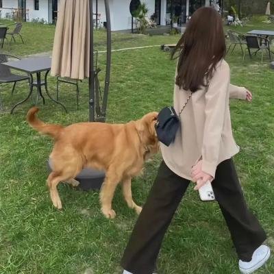 人生滑起来2